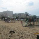 dnio 113